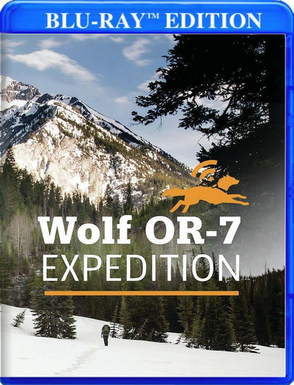 The Wolf OR-7 Expedition (Blu-ray) - DANIEL BYERS