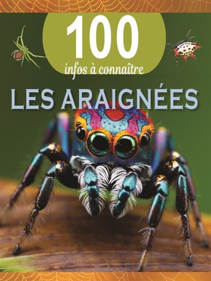 Les Araignées N. éd. - CAMILLA DE LA BEDOYERE