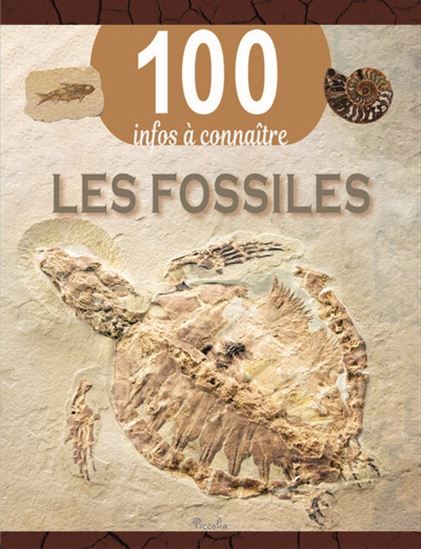 Les Fossiles N. éd. - STEVE PARKER