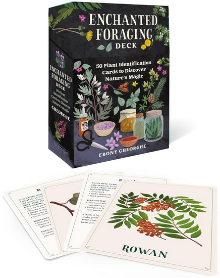 Enchanted Foraging Deck: 50 Plant Identification Cards to Discover Nature's Magic - EBONY GHEORGHE