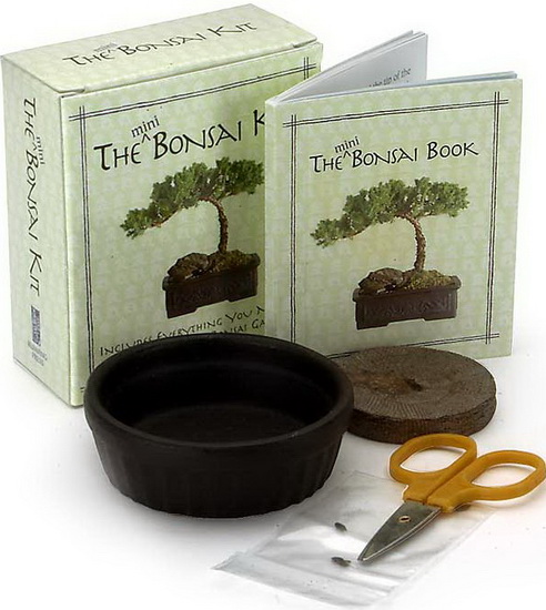 The Mini bonsai kit - COLLECTIF