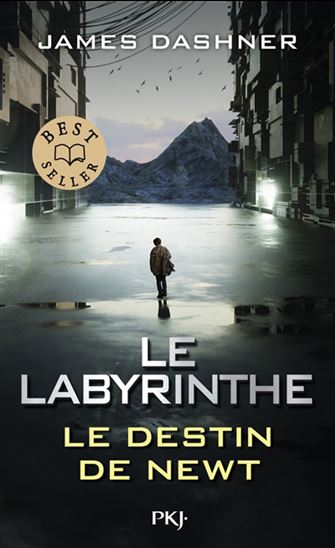 Le Labyrinthe : le destin de Newt - JAMES DASHNER