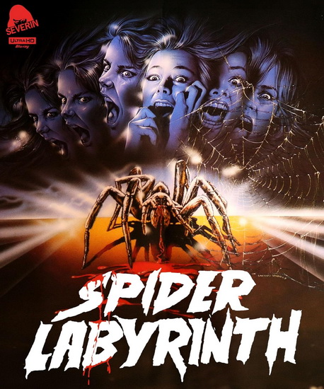 Spider Labyrinth (Blu-ray+DVD) - GIANFRANCO GIAGNI