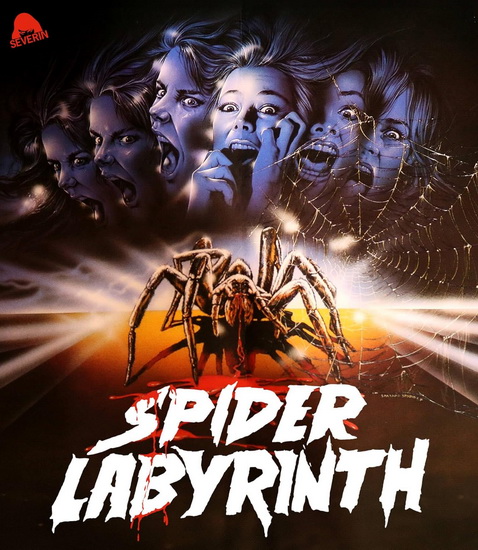 Spider Labyrinth (Blu-ray) - GIANFRANCO GIAGNI