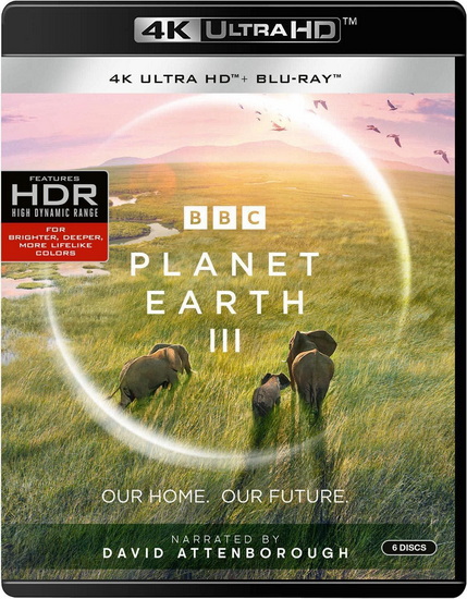 Planet Earth III (4K+Blu-ray) - ABIGAIL LEES