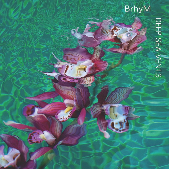 Deep Sea Vents (Vinyle) - BRHYM