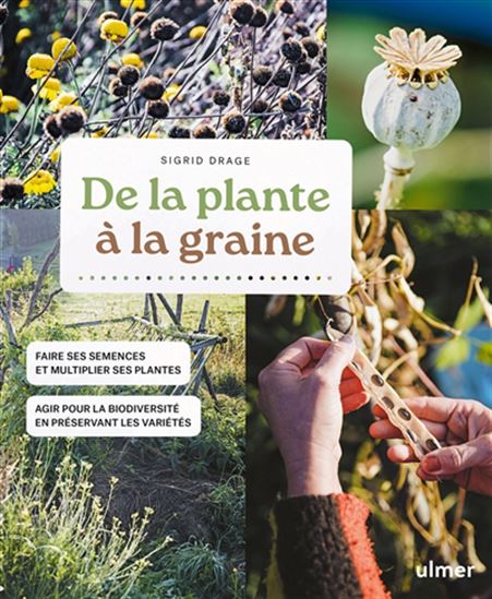 De la plante à la graine : faire ses semences et multiplier ses plantes : agir pour la biodiversité en préservant les variétés - SIGRID DRAGE