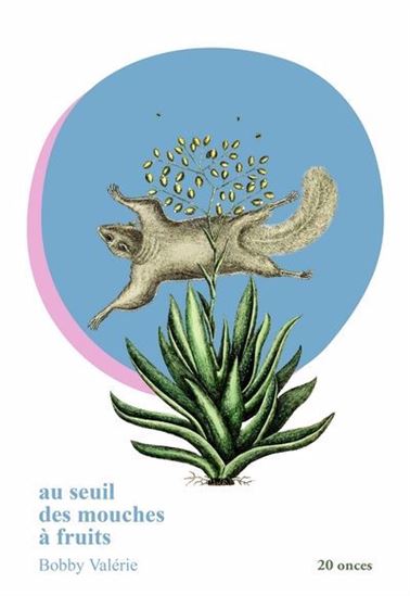 Au seuil des mouches à fruits - BOBBY VALÉRIE