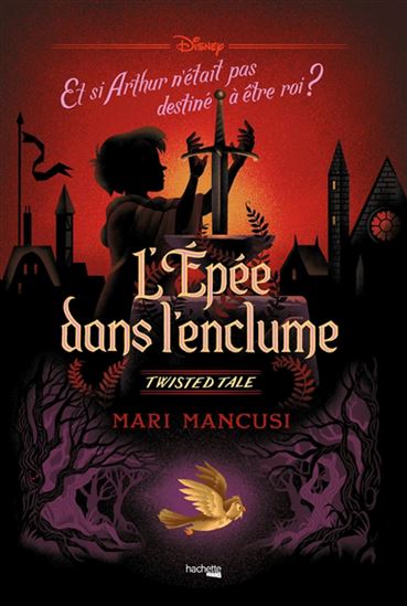 L&#39;Épée dans l&#39;enclume : Merlin l&#39;enchanteur - MARI MANCUSI