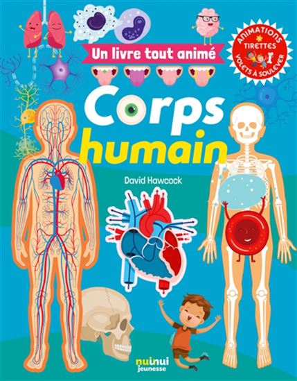 Corps humain : un livre tout animé N. éd. - DAVID HAWCOCK