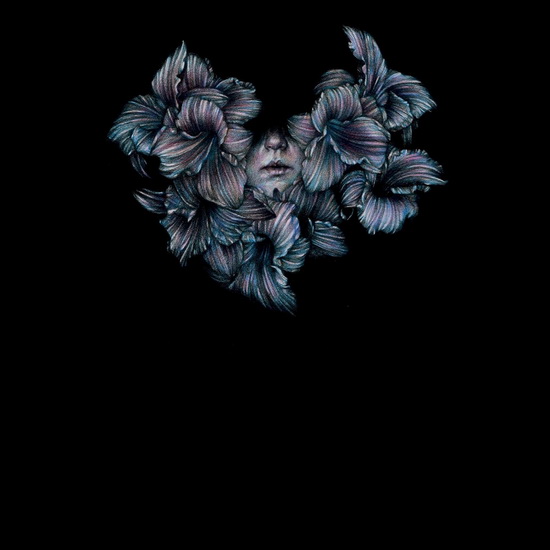 Divisi (Vinyle) - A LOT LIKE BIRDS