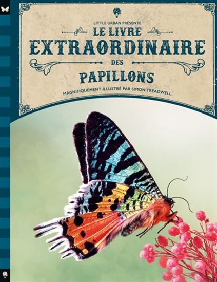 Le Livre extraordinaire des papillons - BARBARA TAYLOR - SIMON TREADWELL
