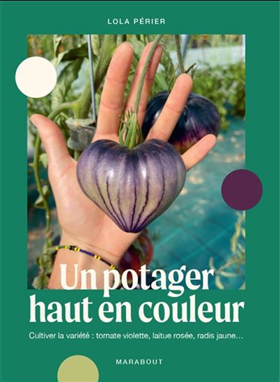 Un potager haut en couleur : cultiver la variété : tomate violette, laitue rosée, radis jaune... - LOLA PILLU PERIER