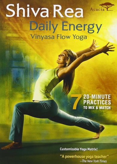Daily Energy Flow - JAMES WVINNER