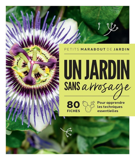 Un jardin sans arrosage : 80 fiches pour apprendre les techniques essentielles - VALÉRIE GARNAUD - ODILE KOENIG