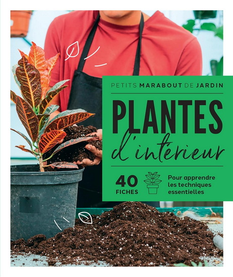 Plantes d'intérieur : 40 fiches pour apprendre les techniques essentielles - CLAIRE PINSON