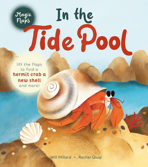 In the Tide Pool : A Magic Flaps Book - WILL MILLARD - RACHEL QUIQI