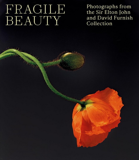 Fragile Beauty : The Elton John and David Furnish Photography Collection - LYDIA CASTON - FORBES DUNCAN