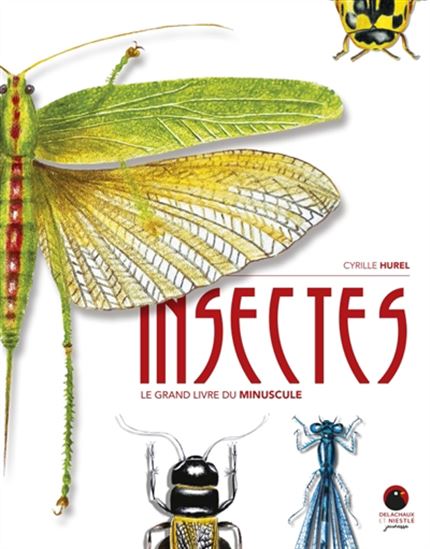 Insectes : le grand livre du minuscule - CYRILLE HUREL