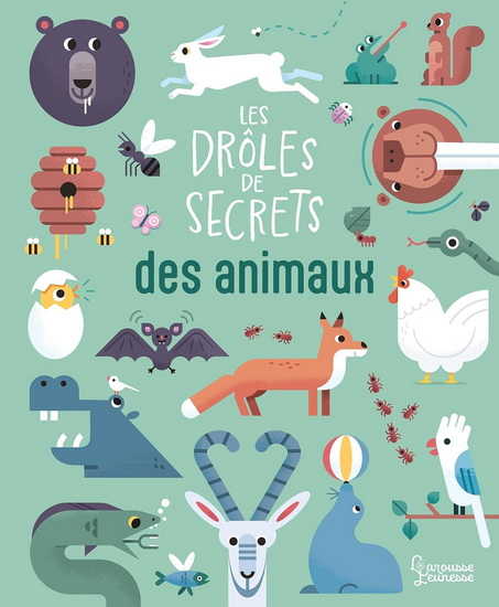 Les Drôles de secrets des animaux - DIARMUID O CATHAIN