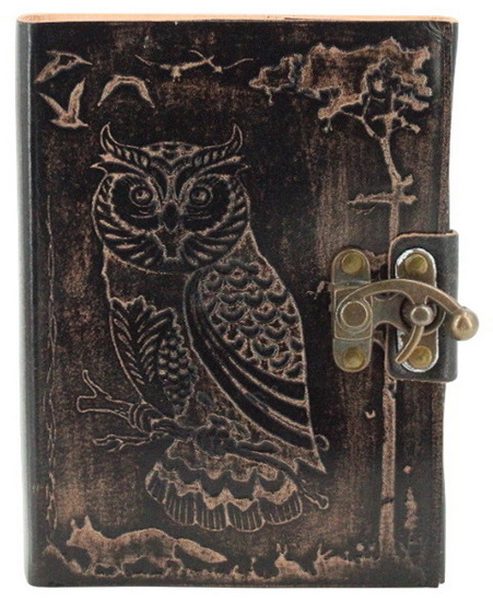 Journal ligné cuir hibou