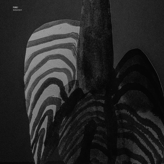 Testament (Vinyle) - FIRE!