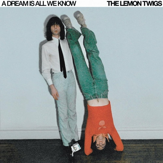 A Dream Is All We Know (Vinyle - Blanc) - LEMON TWIGS
