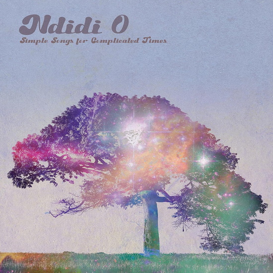 Simple Songs For Complicated Times - NDIDI O
