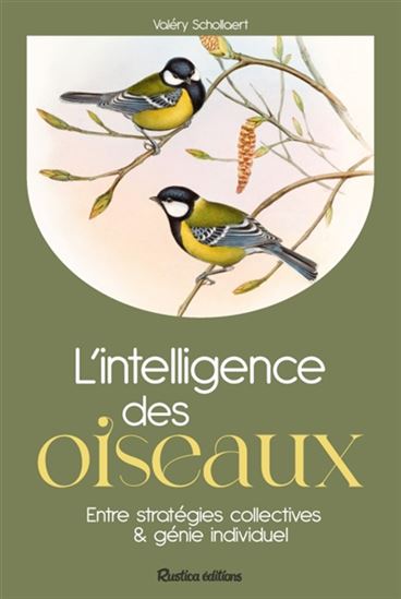 L'Intelligence des oiseaux : entre stratégies collectives et génie individuel - VALÉRY SCHOLLAERT