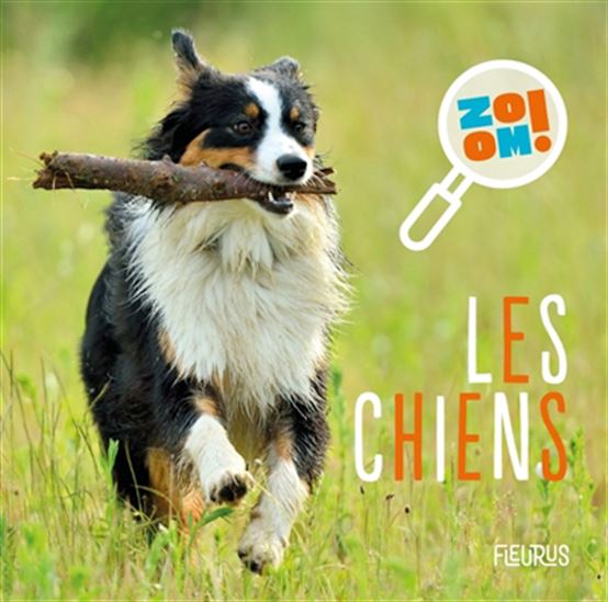 Les Chiens - CAROLE BOURSET