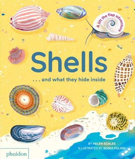 Shells and what they hide inside : A Lift - the - Flap Adventure - HELEN SCALES - SONIA PULIDO