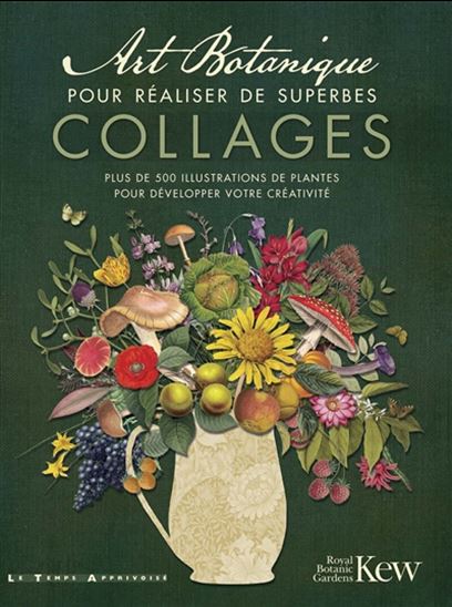 Art botanique pour réaliser de superbes collages : plus de 500 illustrations de plantes pour développer votre créativité - COLLECTIF