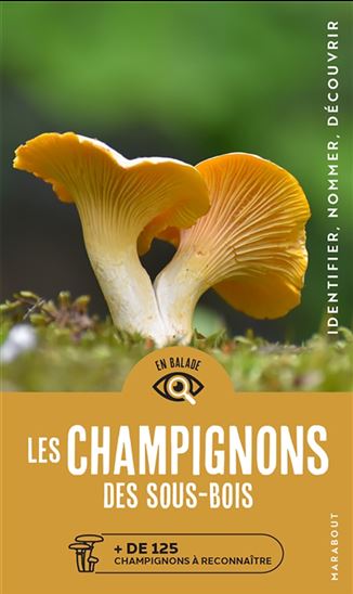 Les Champignons des sous-bois : + de 125 champignons à reconnaître : identifier, nommer, découvrir - MARKUS FLÜCK