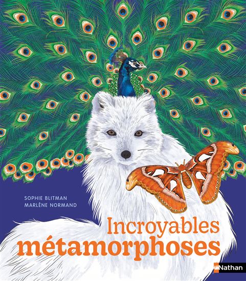 Incroyables métamorphoses - SOPHIE BLITMAN - MARLÈNE NORMAND