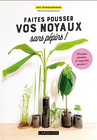 Faites pousser vos noyaux sans pépins ! - LINA TCHAGASPANIAN