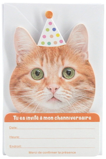 Cartes d&#39;invitation Chat (8)