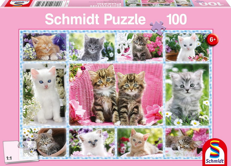 Chatons 100 mcx