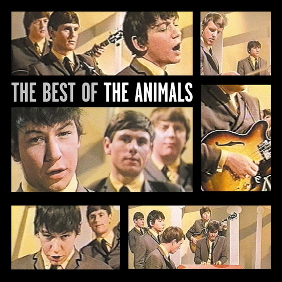 Best Of - ANIMALS