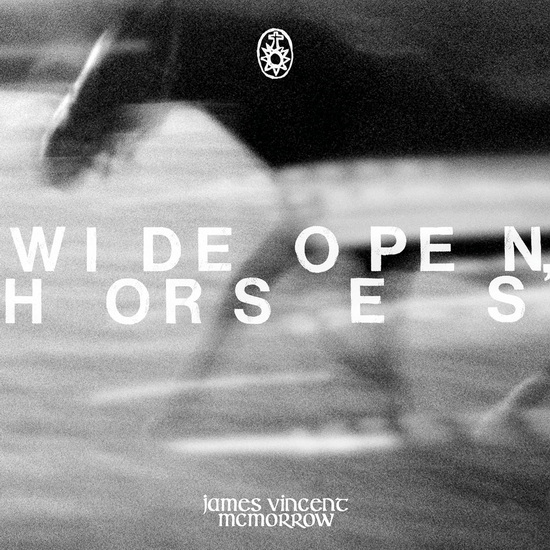 Wide Open, Horses (Vinyle) - JAMES VINCENT MCMORROW