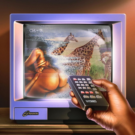 Skinemaxxx - FLY ANAKIN