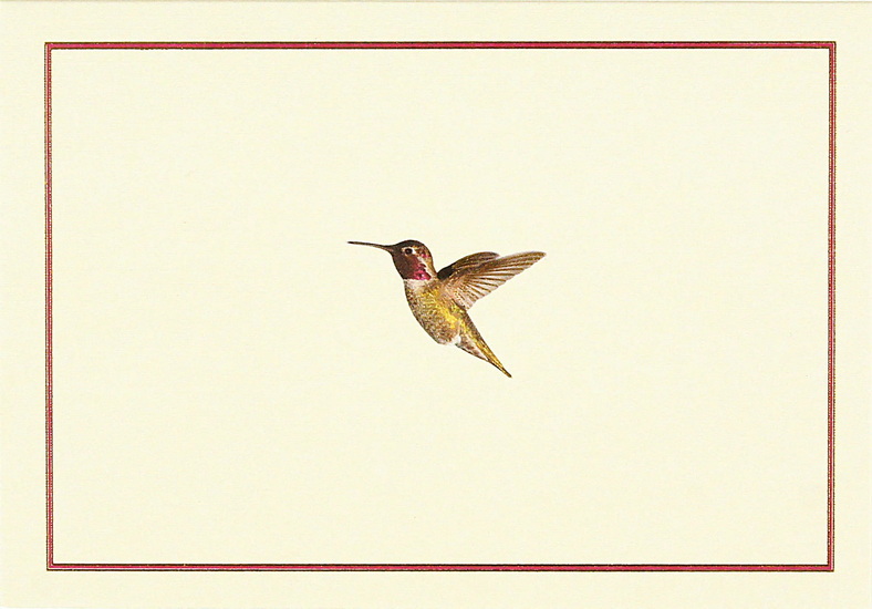 Boîte de cartes Colibri (14)