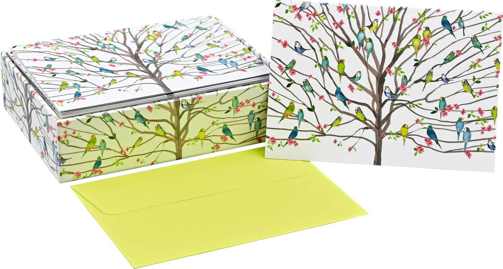 Boîte de cartes Perruches (14)