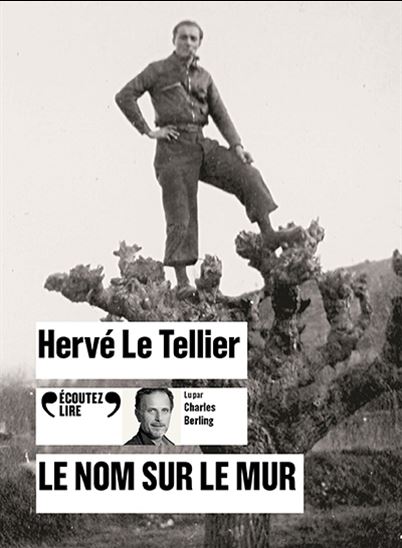 Le Nom sur le mur (CD) - HERVÉ LE TELLIER