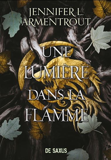 Une lumière dans la flamme T.02 (broché) - JENNIFER L ARMENTROUT