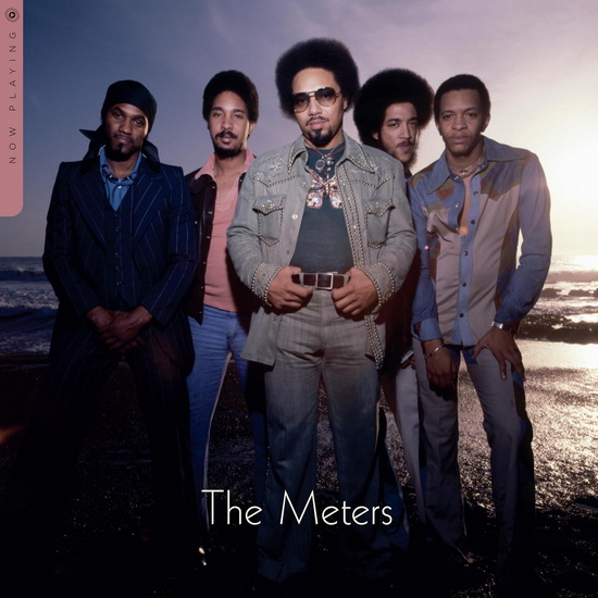 Now Playing (Vinyle) - THE METERS