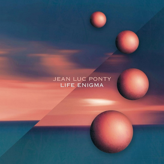 Life Enigma - JEAN-LUC PONTY
