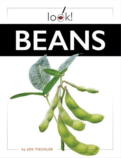 Beans - JOE TISCHLER