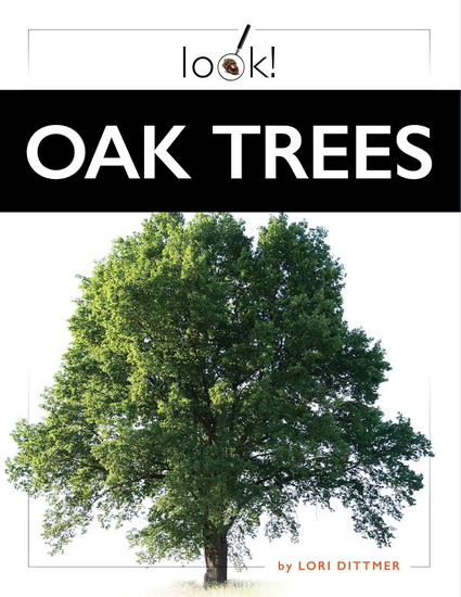 Oak Trees - LORI DITTMER