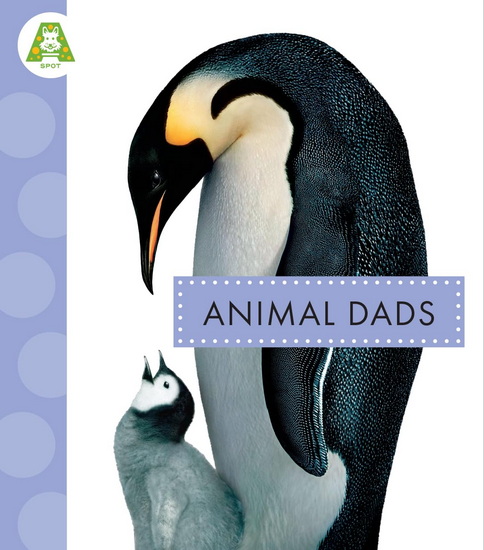 Animal Dads - MARI SCHUH