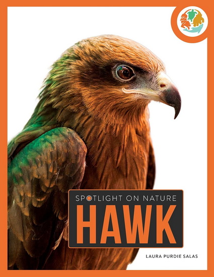 Hawk - LAURA SALAS